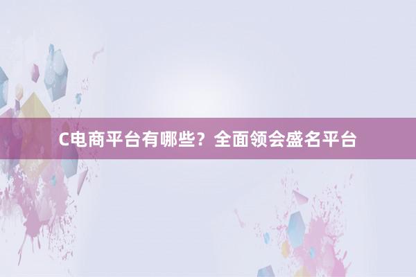 C电商平台有哪些？全面领会盛名平台